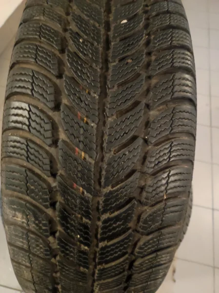 Opony zimowe Dębica Frigo2 205/55R16