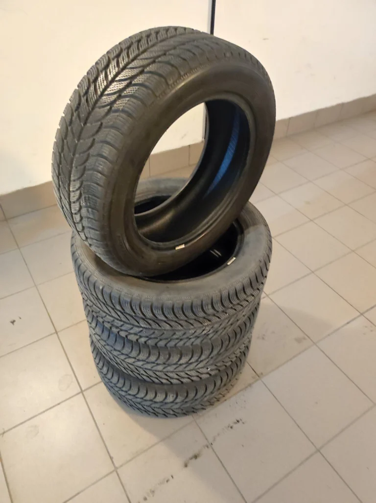 Opony zimowe Dębica Frigo2 205/55R16