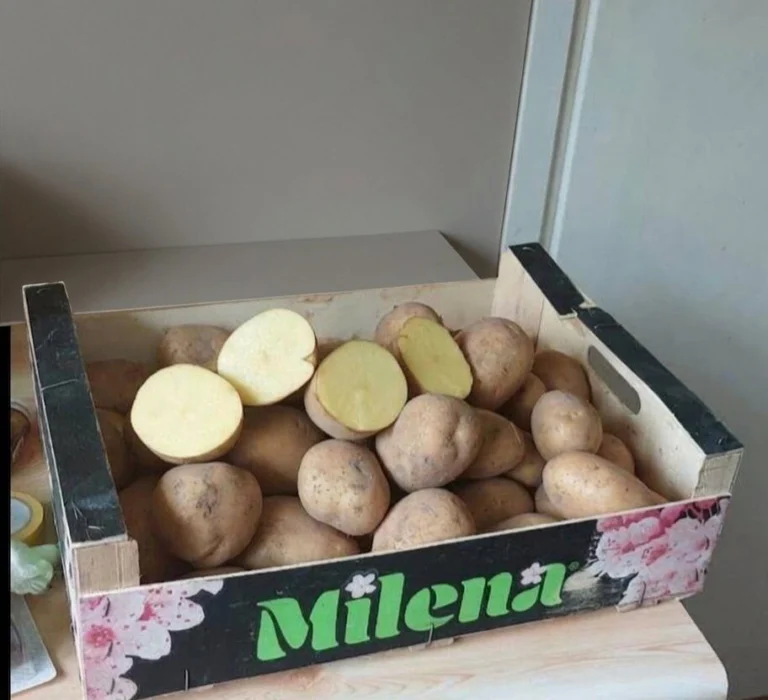 Ziemniaki