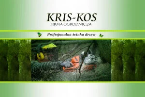 KRIS-KOS, ŚCINKA, WYCINKA, WYRĄB DRZEW.
