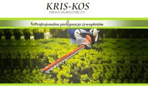 Profesjonalne strzyżenie żywopłotów. KRIS-KOS