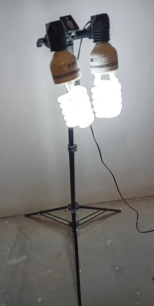 Lampa studyjna, fotograficzna