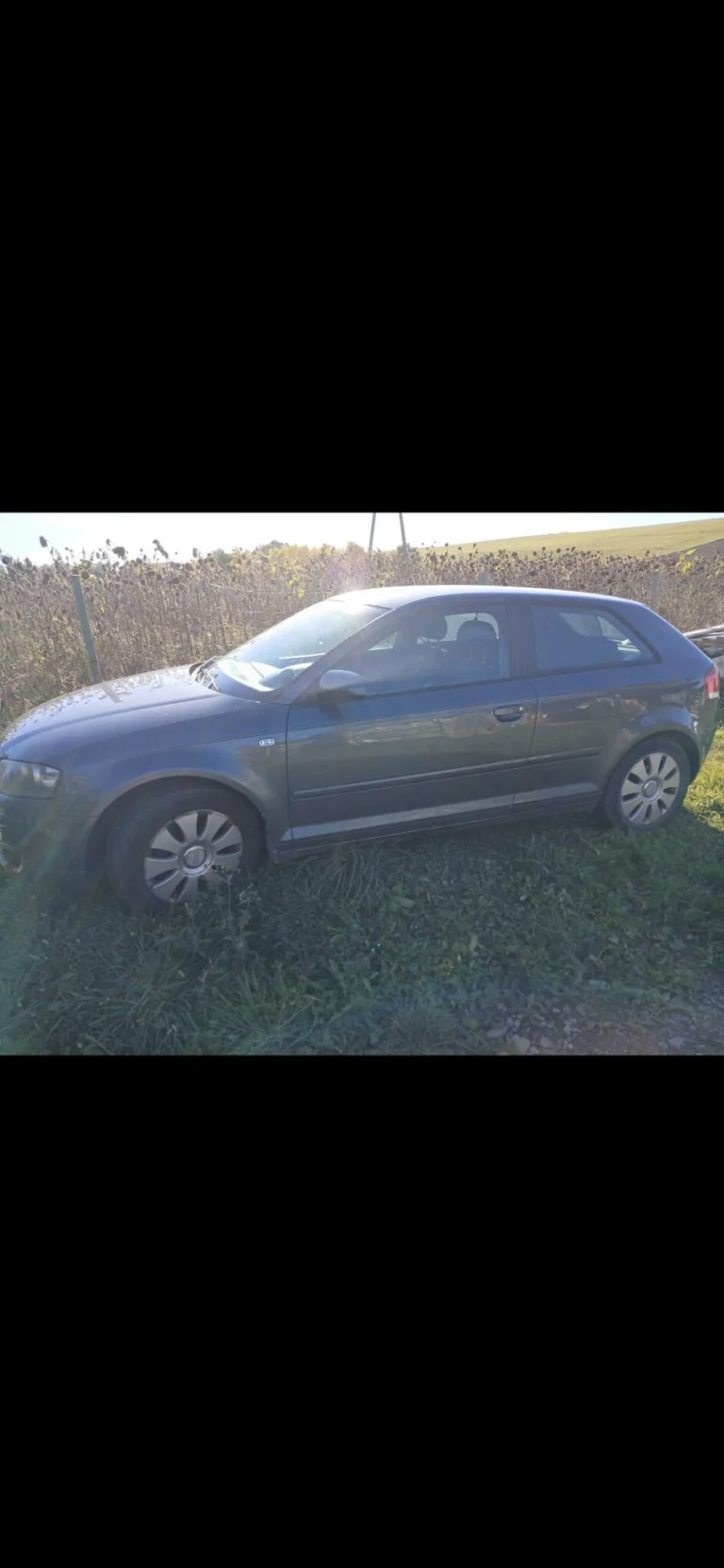 Audi a3 8p 1.6 automat
