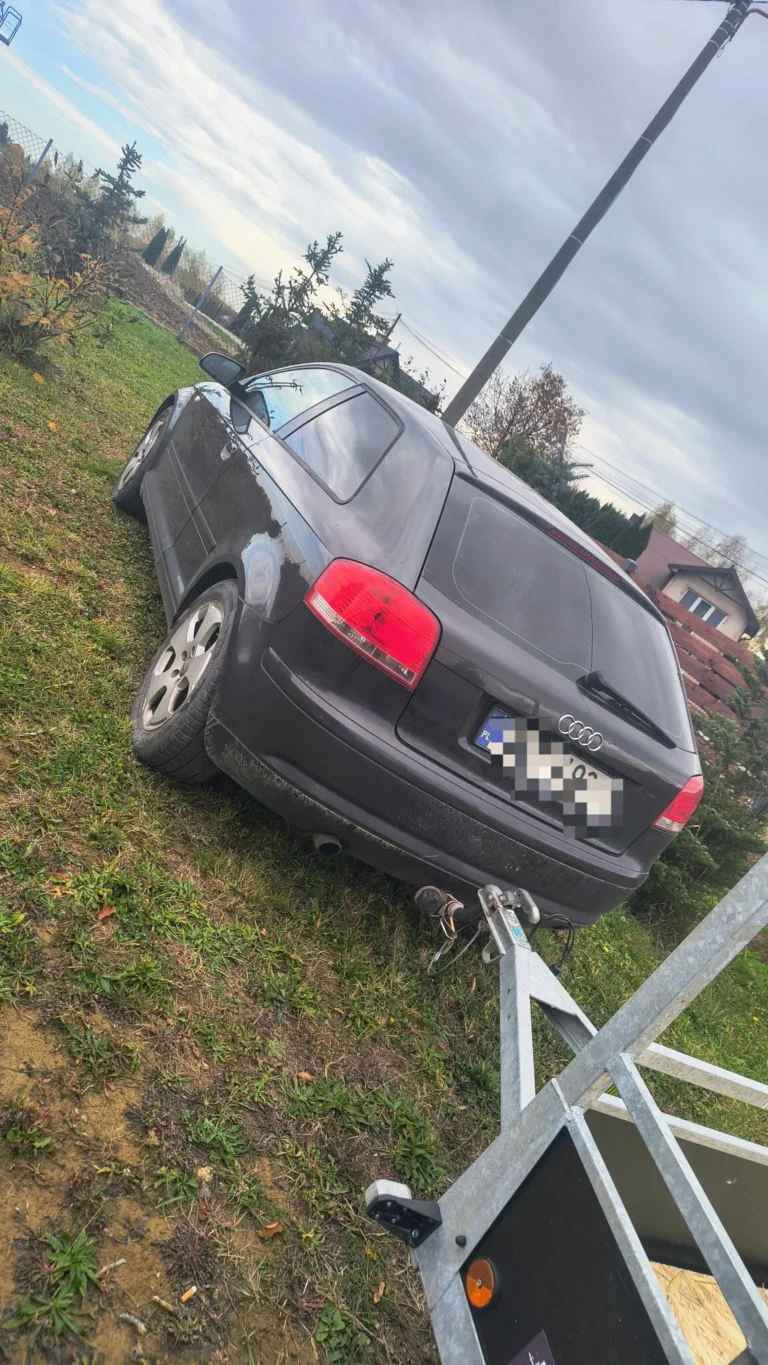 Audi a3 8p.
