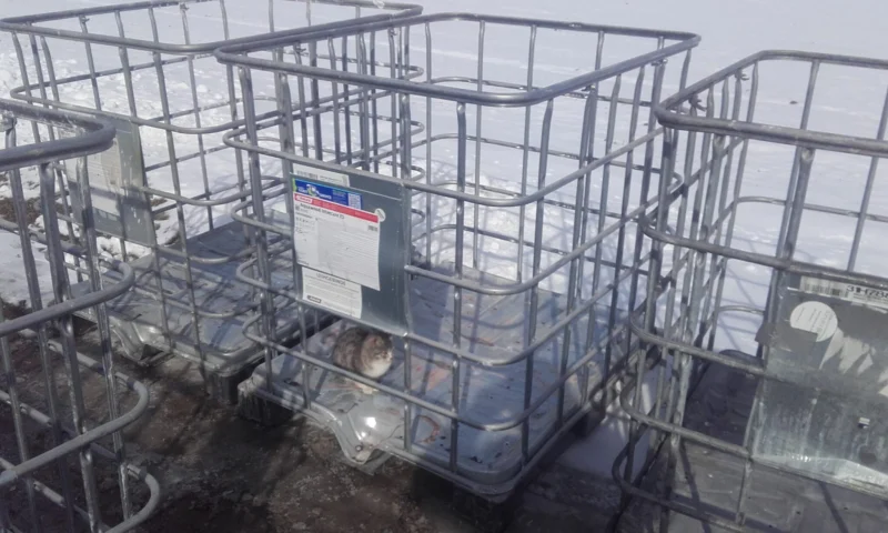 Kosze metalowe po mauzerach