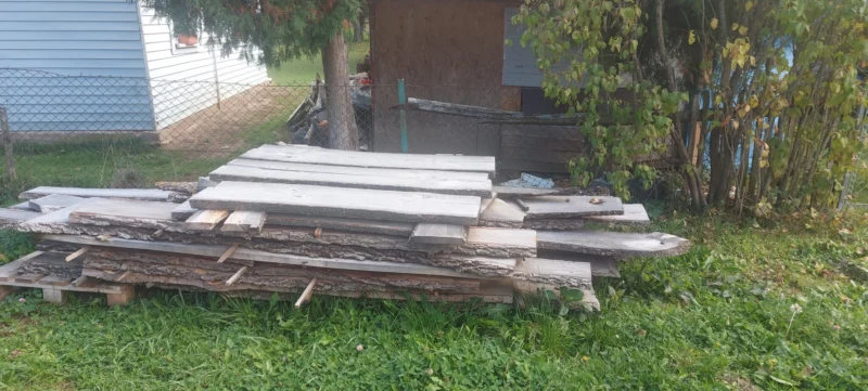 Sprzedam drzewo potarte