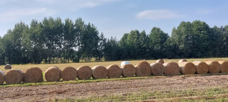 Słoma
