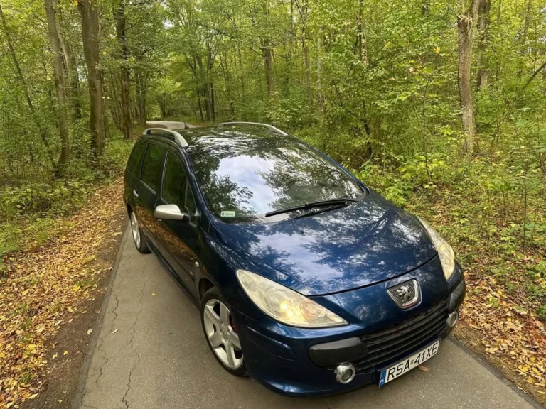 Peugeot 307 2.0 hdi 136km