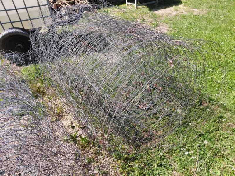 Siatka leśna