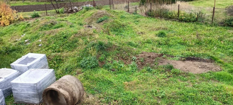 zlecę ROZGARANIĘCIE ZIEMI – wykopanie kilku korzeni po tujach