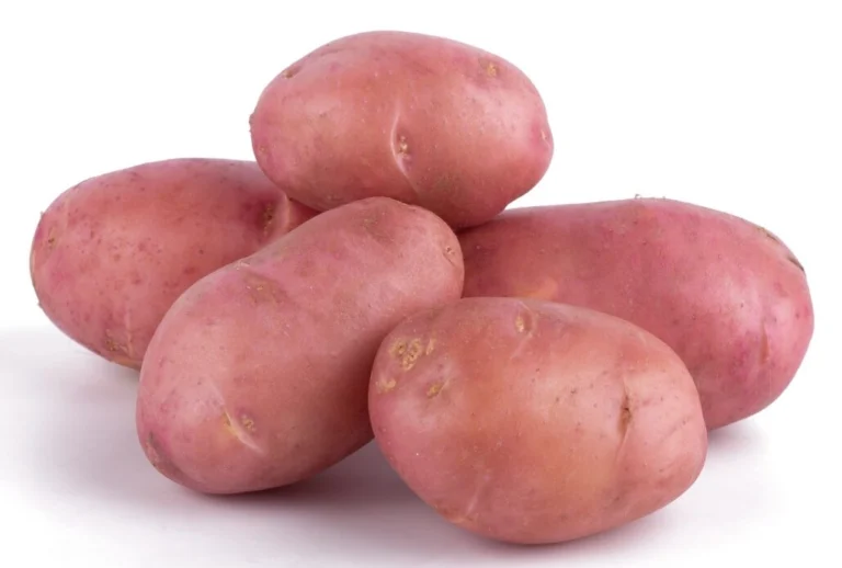 Sprzedam Ziemniaki Baltic Rosa 1.67zł