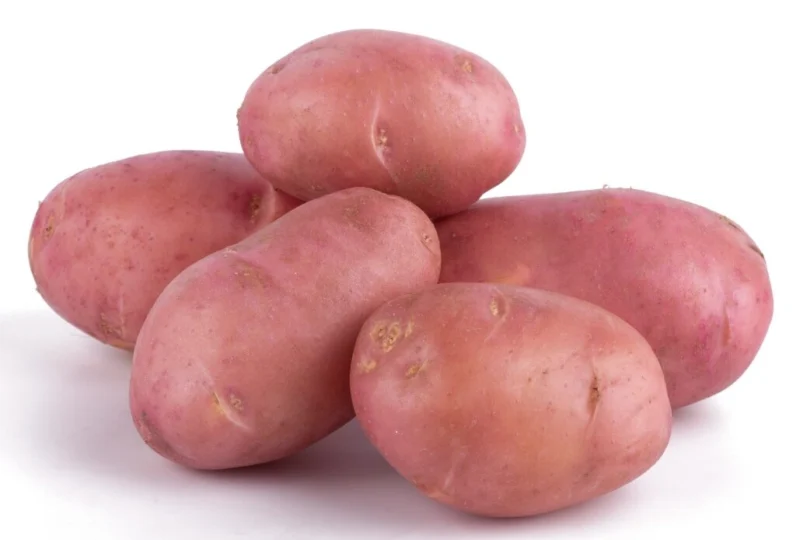 Sprzedam Ziemniaki Baltic Rosa 1.67zł