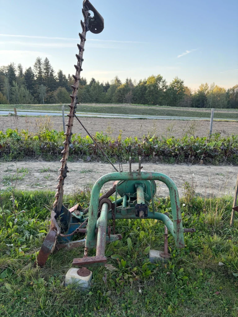 Kosiarka listkowa – Osa