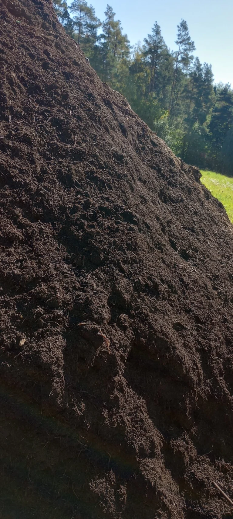 Kompost Ziemia kompostowana Ziemia ogrodowa Czarnoziem owoce Warzywa Rośliny