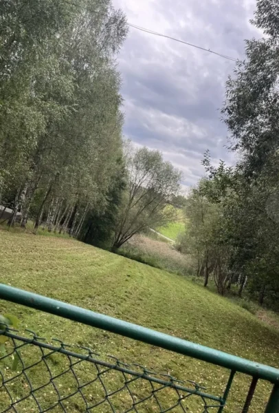 Cięcie drewna koszenie rozbiórki wycinki Sanok Brzozów 512 750 088
