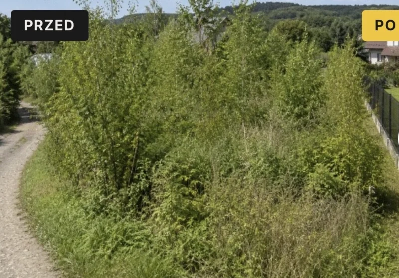 Cięcie drewna koszenie rozbiórki wycinki Sanok Brzozów 512 750 088